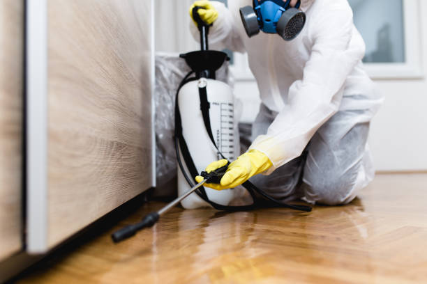 Best Local Pest Control Services  in Cortland, OH