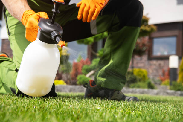 Best Best Pest Control Companies  in Cortland, OH